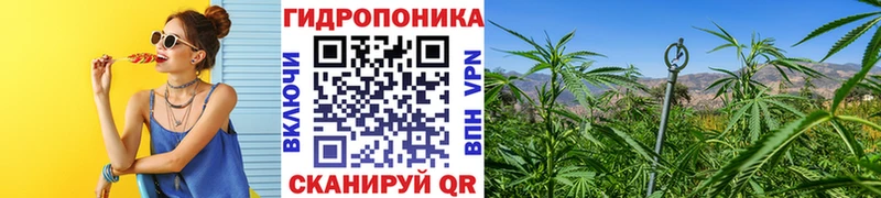 Где купить наркотики Кукмор Alpha PVP  Cocaine  ГАШИШ  Вейп ТГК  kraken онион  АМФ  Канабис 