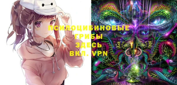 сатива Баксан