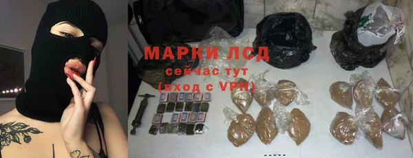 сатива Баксан
