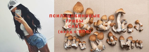 сатива Баксан