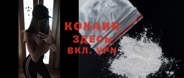 сатива Баксан