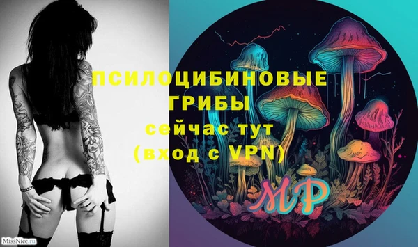 дмт Балахна