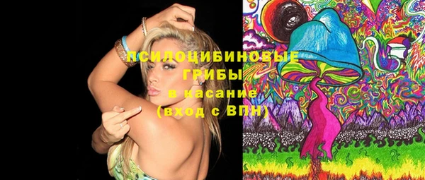 дмт Балахна