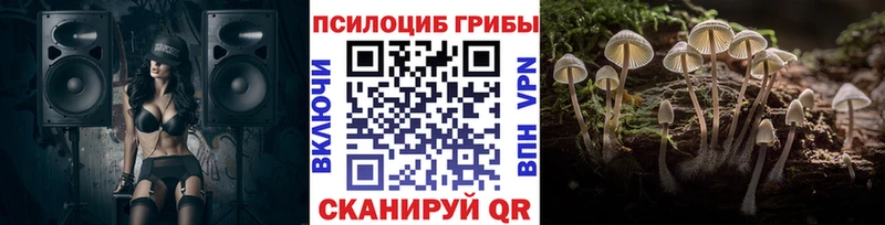 Галлюциногенные грибы Cubensis  наркота  Кукмор 